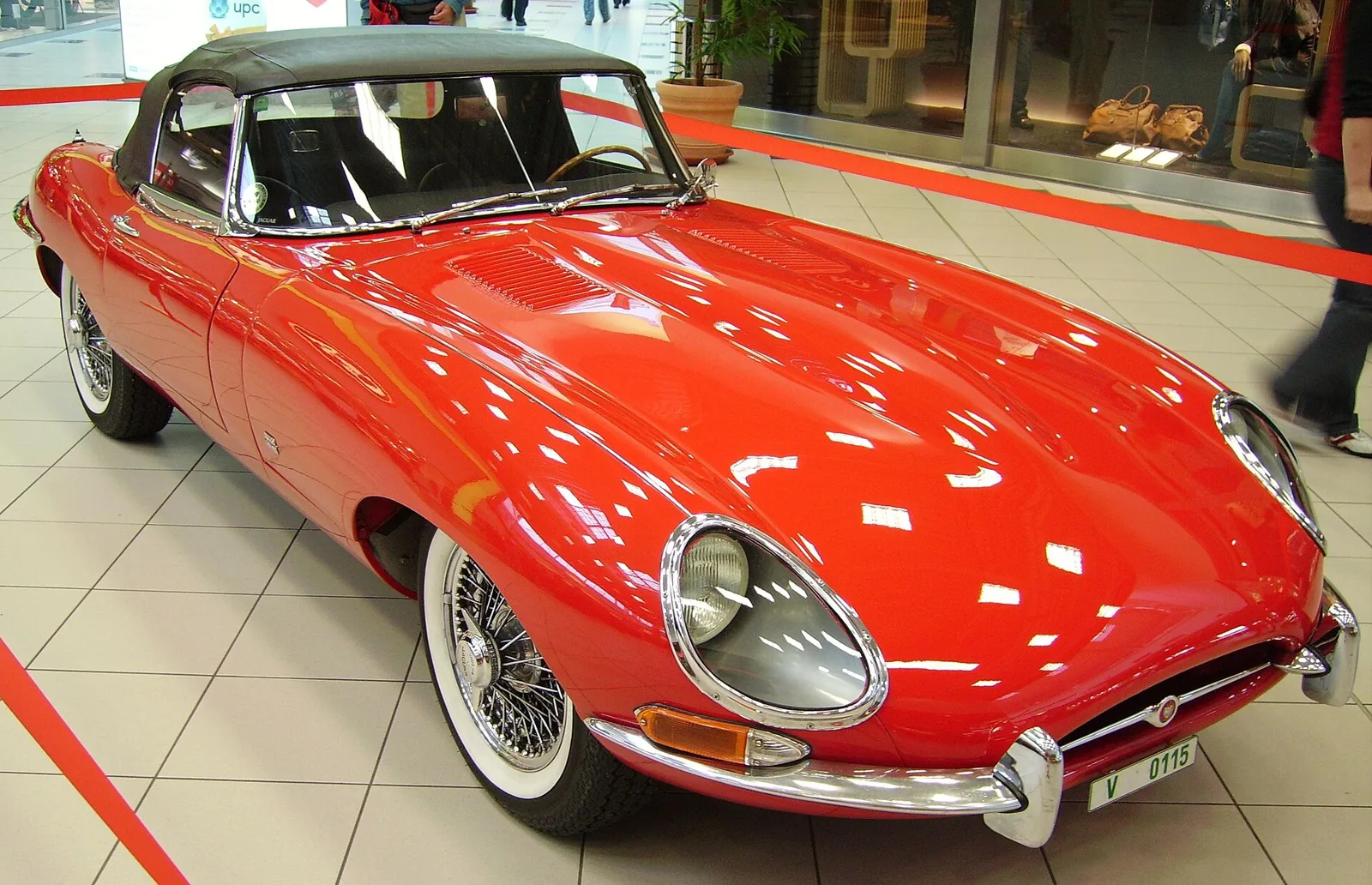jaguar